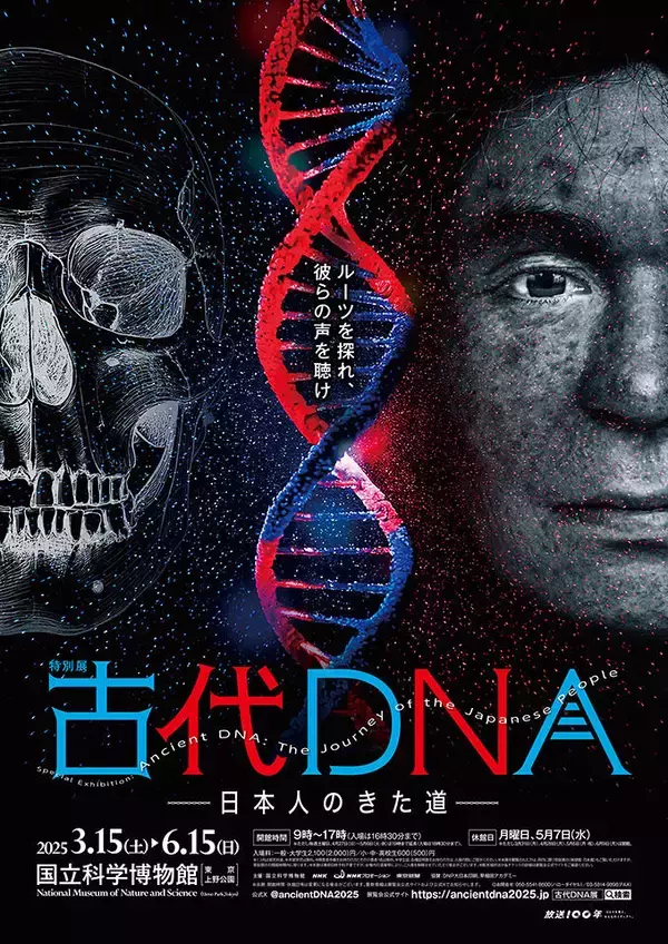 「日本獣医生命科学大学の吉村久志准教授らによる調査で新たに発見されたニホンオオカミの遺物（上顎吻端部を用いた根付）が、国立科学博物館の特別展「古代DNA ―日本人のきた道―」で展示予定」の画像