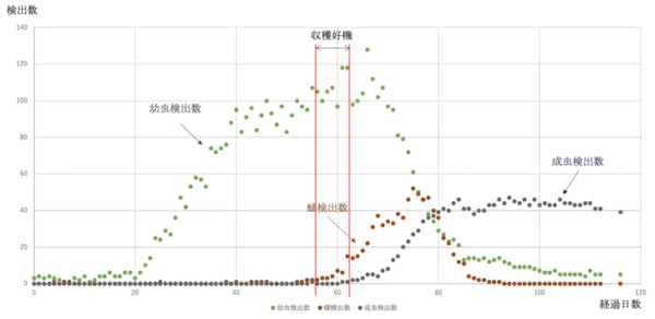 「駒澤大学グローバル・メディア・スタディーズ学部の小林透教授らによる研究グループが分散型育成装置「Worm Pod（ワーム・ポッド）」を開発 ― 持続可能な養殖業を支える次世代飼料生産技術」の画像