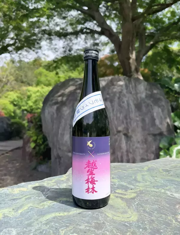 東洋大学×佐藤酒造店 産学連携プロジェクト 毎年異なる花の酵母で醸造、東洋大学オリジナル日本酒第四弾「越生梅林 エスティNo.4」発売開始