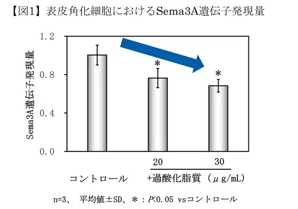 「皮脂の酸化が頭皮のかゆみの一因となるメカニズムを確認」の画像