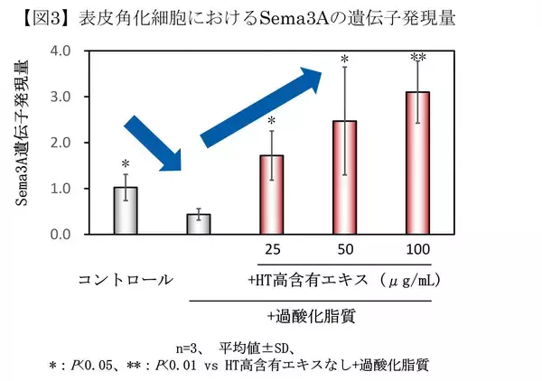 「皮脂の酸化が頭皮のかゆみの一因となるメカニズムを確認」の画像