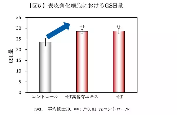 「皮脂の酸化が頭皮のかゆみの一因となるメカニズムを確認」の画像