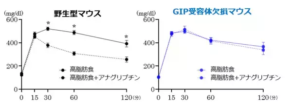 「ダイアベティス（糖尿病）治療薬DPP-4阻害薬の“真の主役”はGIPだった!?」の画像