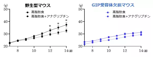 「ダイアベティス（糖尿病）治療薬DPP-4阻害薬の“真の主役”はGIPだった!?」の画像