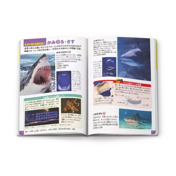 「ほんのハッピーセットより3冊の新作が3月20日(金)から期間限定登場！絵本 「ノラネコぐんだん おみせでさがしえブック」、図鑑 「危険生物」、マンガ 「人体のサバイバル 特別編」」の画像