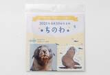 「【京都水族館】オットセイの赤ちゃん3月に展示エリアデビューへ「ちのわ」の成長見守る“推し活”スタンプラリー開催」の画像6