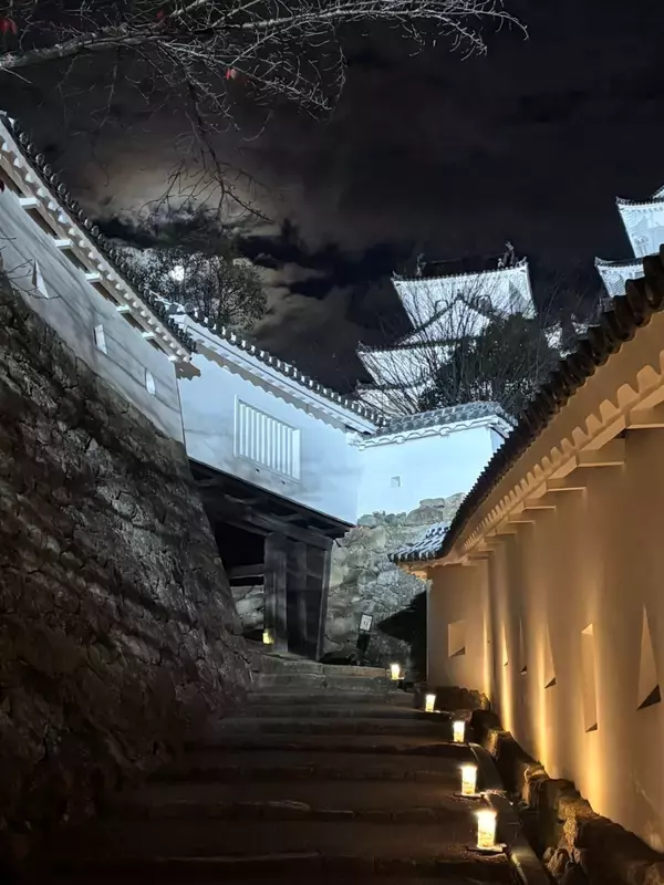 「世界遺産・姫路城“大天守貸切”〈究極の城体験〉が叶う「姫路城プレミアム・ナイトツアー」解禁～2026年3月13日（金）14日（土）20日（金・祝）開催～」の画像