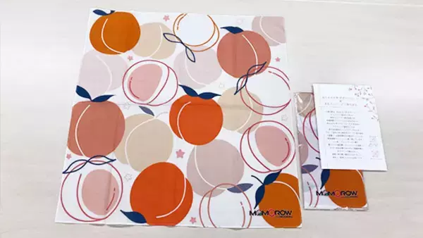 「【産学連携】2024年度 共立女子大学×東和エンジニアリング「春日居の桃をテーマに地域循環SDGsに向けた産学連携授業」の集大成となる完成発表会を開催」の画像