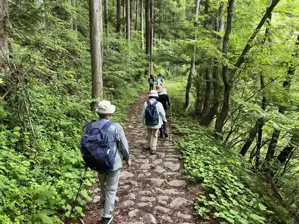 「＜歴史と浪漫『街道を歩く2026』＞地元の専門ガイドと一緒に街道を巡ってみませんか？」の画像