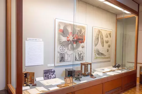 日本女子大学成瀬記念館が4月10日（金）より企画展「日本女子大学の授業 ― 理学部 ―」を開催 ― 創立時から続く自然科学教育の歴史をたどる ―