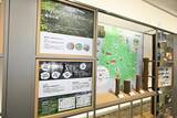 「【龍谷大学】多様な来訪者を迎え入れる龍谷大学体験空間　瀬田の自然と大学の歴史が交差する「Welcome Lounge」を瀬田キャンパスに開設」の画像3