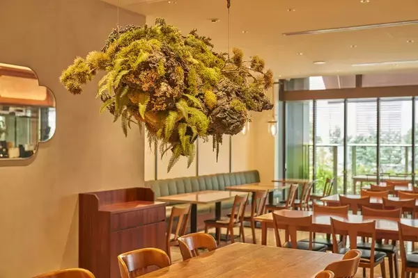 「「富錦樹台菜香檳（フージンツリー）」COREDO室町テラス店　全天候型のテラスエリアで楽しむ真夏の贅沢なひととき「台湾サマーテラス」企画」の画像