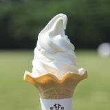 「愛犬と楽しむ「那須千本松牧場」ドッグランが春のリニューアル！」の画像13