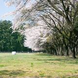 「愛犬と楽しむ「那須千本松牧場」ドッグランが春のリニューアル！」の画像15