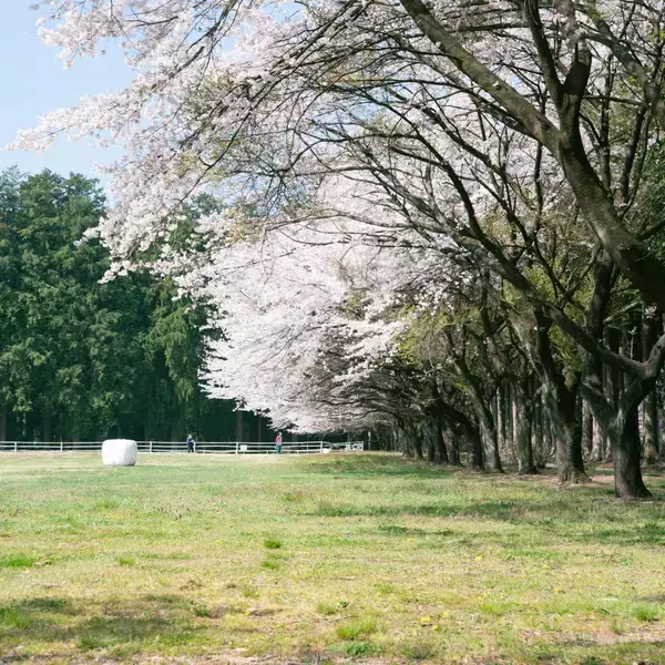 「愛犬と楽しむ「那須千本松牧場」ドッグランが春のリニューアル！」の画像