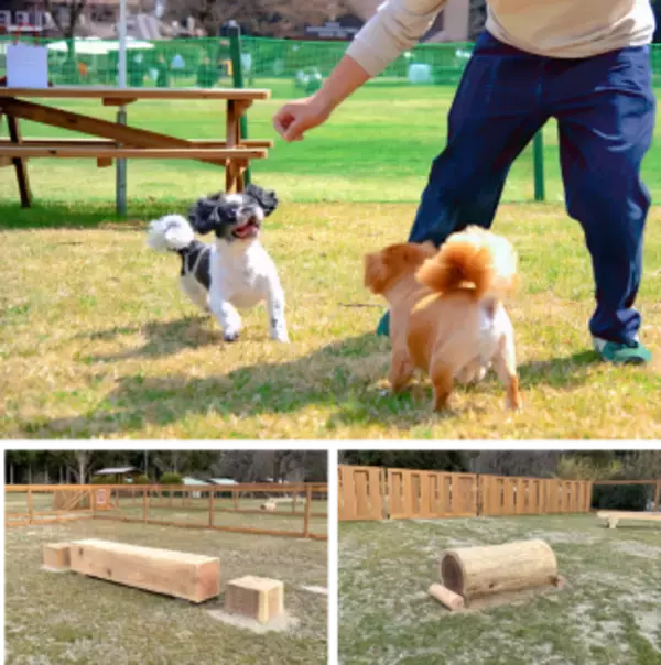 「愛犬と楽しむ「那須千本松牧場」ドッグランが春のリニューアル！」の画像