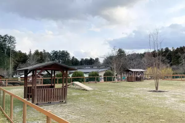 「愛犬と楽しむ「那須千本松牧場」ドッグランが春のリニューアル！」の画像