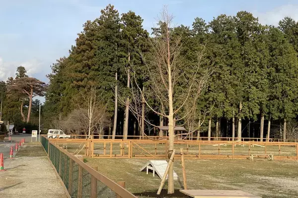 「愛犬と楽しむ「那須千本松牧場」ドッグランが春のリニューアル！」の画像