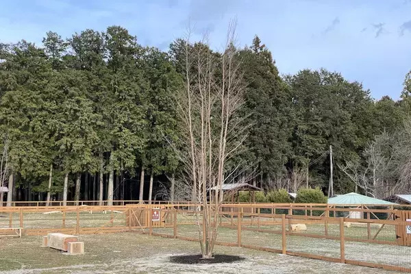 「愛犬と楽しむ「那須千本松牧場」ドッグランが春のリニューアル！」の画像