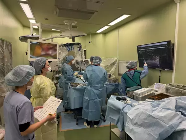 日本獣医生命科学大学付属動物医療センターで多摩動物公園のレッサーパンダを検査・治療 ― 希少動物の保全、研究及び教育に関する協定に基づき