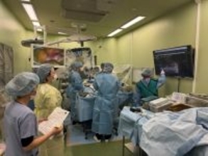 日本獣医生命科学大学付属動物医療センターで多摩動物公園のレッサーパンダを検査・治療 ― 希少動物の保全、研究及び教育に関する協定に基づき