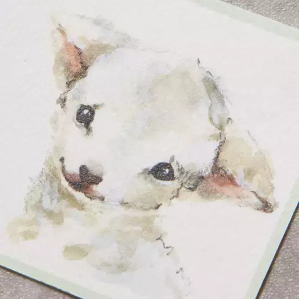 「ラメだけの不思議なマーカー！文字やイラストに塗るだけで簡単にラメ加工ができる『ラメコ』2月上旬発売」の画像