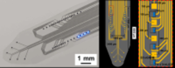 【名城大学】マウス脳を広域カバーするフィルム型神経デバイスを開発 ～大脳皮質頭頂部から側頭深部まで光刺激と神経記録を同時に実現～