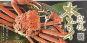 越後本ズワイガニ　11月6日 水揚げ解禁！誕生9年目のブランドガニ　100匹に1匹の味わいで人気上昇中