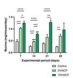 「【中部大学】食用サボテンの腸内環境改善と免疫機能向上を確認ーボテンの健康食品への需要拡大に期待－」の画像1