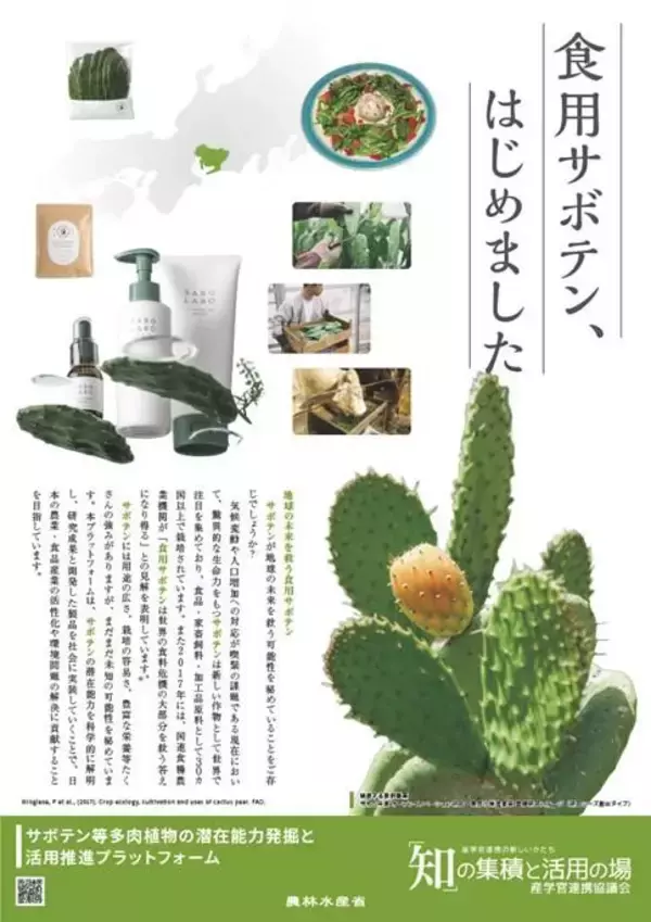 「【中部大学】食用サボテンの腸内環境改善と免疫機能向上を確認ーボテンの健康食品への需要拡大に期待－」の画像