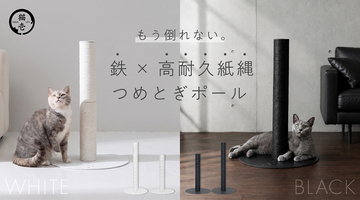 猫が飛びついても“もう倒れない”「バリバリつめとぎポール 紙縄 アイアン」新発売 薄さ5mm鉄製ベースの安定感×研ぎカスがでにくい紙縄