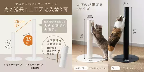 「猫が飛びついても“もう倒れない”「バリバリつめとぎポール 紙縄 アイアン」新発売 薄さ5mm鉄製ベースの安定感×研ぎカスがでにくい紙縄」の画像