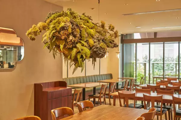 「ミシュラン一つ星獲得、最も洗練された本格台湾料理が楽しめる人気レストラン「富錦樹台菜香檳（フージンツリー）」、「エコマーク」を取得」の画像