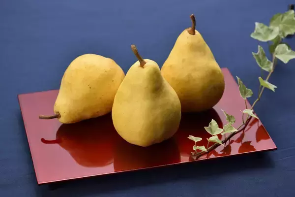 「新潟県産西洋なし「ル レクチエ」、今年の解禁日は11月19日(土）！」の画像