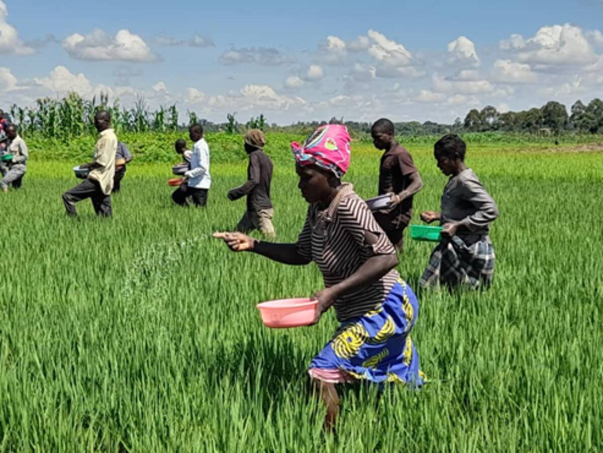 2022年11月15日、世界人口が80億人に～ アフリカで拡大する食料危機改善のため食料安全保障の強化に向けた支援を展開 - エキサイトニュース