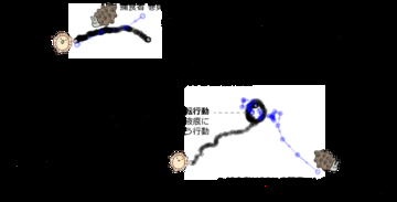 貝たちが繰り広げる情報戦―這った跡を使った捕食者と被食者の戦い―