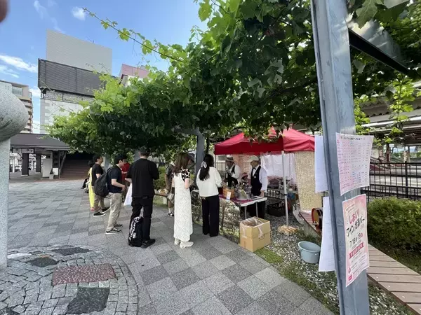 「【ぶどうの樹の下で乾杯！】真夏の「しおじりワインと地酒バー」開催」の画像