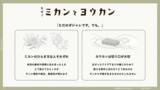 「【博展×東京藝術大学】産学連携で藝大生と企業の“未完をひらき、いい予感をつくる”共創プログラム「ミカンとヨウカン」始動」の画像2