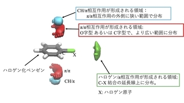 【昭和医科大学】医薬品の設計に役立つ重要な「分子間相互作用」を3次元で解明 ― より効率的で合理的な創薬につながる新たな手がかり ―