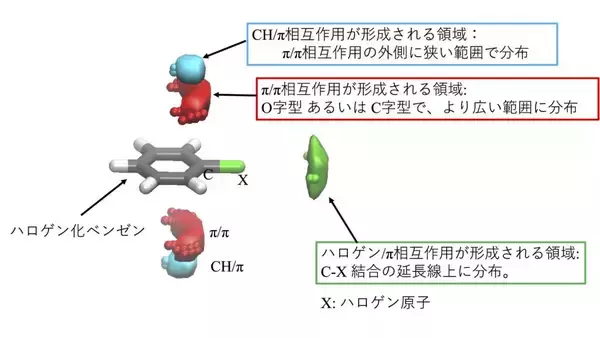 【昭和医科大学】医薬品の設計に役立つ重要な「分子間相互作用」を3次元で解明 ― より効率的で合理的な創薬につながる新たな手がかり ―