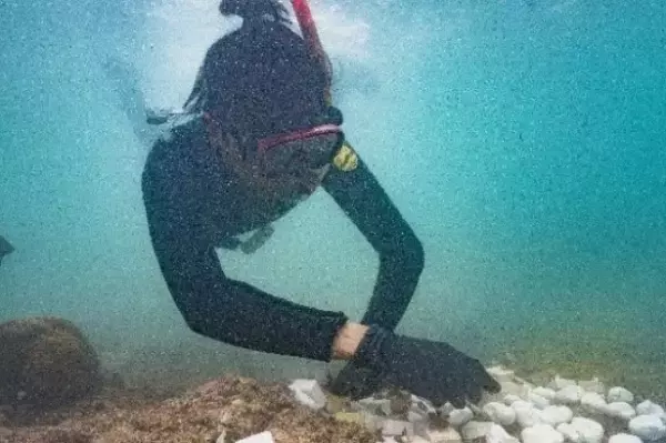 【オリックス自動車】「美ら海サンゴ大作戦2022」キャンペーン結果報告 沖縄県浦添市港川の海に111本の養殖サンゴを移植