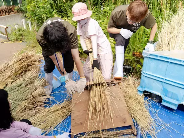 「【京都水族館】年間パスポート会員限定の特別プログラム「里山教室 稲作部～やってみよう!お米づくり～」を開催」の画像
