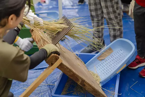 「【京都水族館】年間パスポート会員限定の特別プログラム「里山教室 稲作部～やってみよう!お米づくり～」を開催」の画像