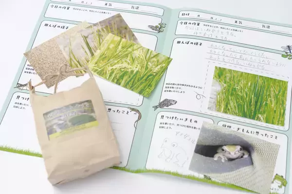 「【京都水族館】年間パスポート会員限定の特別プログラム「里山教室 稲作部～やってみよう!お米づくり～」を開催」の画像