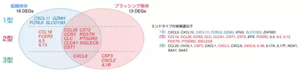 「低侵襲な「鼻のブラッシング」で好酸球性副鼻腔炎の病型分類に成功」の画像