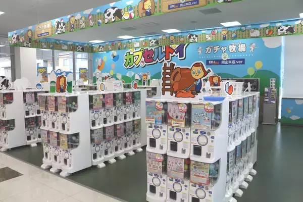 「「エディオン宮崎本店」増床リニューアルオープンのお知らせ」の画像