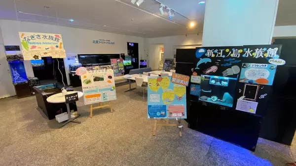 「北里アクアリウムラボ10周年特別展「水族館で水族館展」 -- 北里大学」の画像