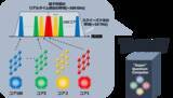 「超高速量子計算のための世界最速43 GHzリアルタイム量子信号測定に成功～5G時代の超高速光通信テクノロジと光量子テクノロジの融合によるスーパー量子コンピュータ実現へ～」の画像4