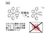 「光を当てて がん細胞を狙い撃ち 低濃度で作用する抗がん剤ルテニウム錯体--大阪工業大学」の画像1