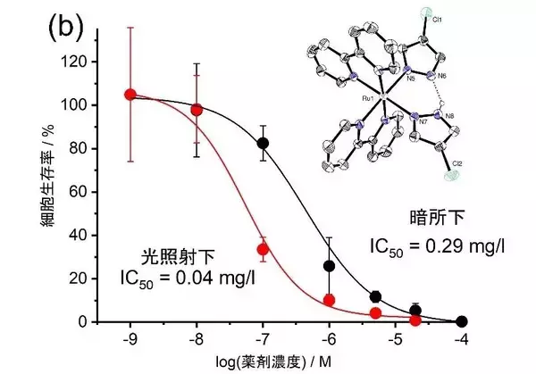 「光を当てて がん細胞を狙い撃ち 低濃度で作用する抗がん剤ルテニウム錯体--大阪工業大学」の画像